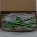 4 Pack Bee Watering Station, Bee Bath for Garden Metal Bee Water Feeder with Flower Design, Colorful Butterfly Bee Bath Bowl for Outdoor Garden Yard Decor (Red,Green,Blue,Yellow)