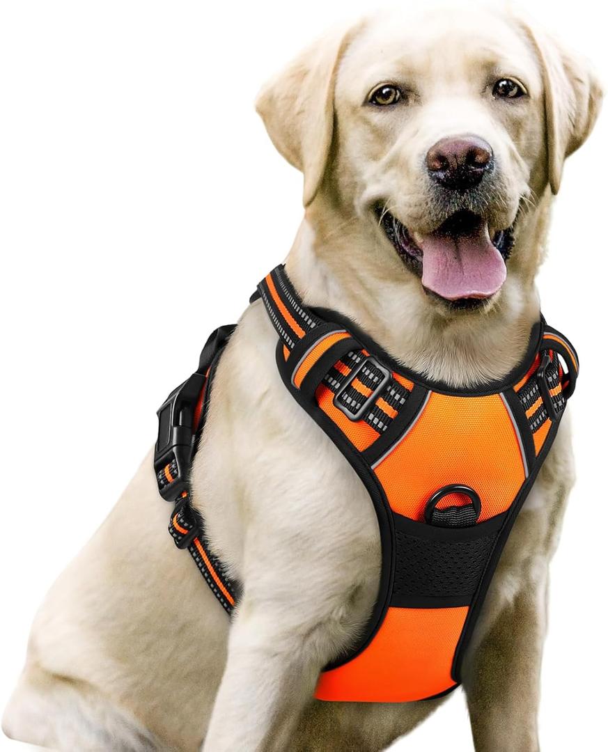 rabbitgoo Dog Harness No Pull with 2 Leash Clips, Adjustable Soft Padded, Reflective Oxford No Choke Pet Vest with Easy Control Handle for Large Dogs, Orange, L