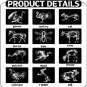 Motiskyy 12 Pcs Animal X-Ray Set Animal X-Ray Flash Cards Educational Science Kit Light Table Accessory, 11.8 x 8.3 (Farm Animals), 11.7 x 8.3 inches
