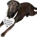 2 x Pulse Brands Engagement Photo Prop Sign - My Humans are Getting Married - Engagement Gifts - Bride to Be - Engaged - Engagement Gifts for Couples (White)