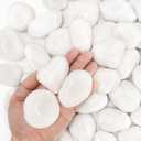 18lb White River Rocks for Plants, 1-3 Inch Pebbles for Indoor Plants, Polished Garden Rocks Outdoor Landscaping, Decorative Stones for Vases, Succulents, Aquarium, Walkways