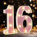 Led Light Up Numbers, Sweet 16th Birthday Party Decorations, Battery Powered Number 16 Light Up Sign, 16th Birthday Decorations for Girls (Pink Glitter)