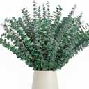 50 Pcs Preserved Eucalyptus Stems, 17 Inch Real Dried Eucalyptus Branches for Shower, Vase Arrangements, Home Decor, Wedding, Bathroom