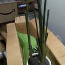 Bird of Paradise Artificial Plant 6FT Banana Leaf Tree - 72 Inch Tall Fake Indoor Tree with Bendable Branches & Realistic Leaves, Faux Floor Plant for Home Office Decor in White Pot