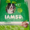 IAMS Proactive Health Adult Minichunks Premium Dry Dog Food, Adult Dog Food Dry Recipe, 30 lb. Bag (EXP 12/17/25)