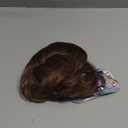 FESHFEN Messy Bun Hair Piece - Wavy Synthetic Chignon Scrunchies for Instant Volume, Elastic Bun Ponytail Hair Extensions Thick Hairpieces for Women, Brunette Brown 1.50 oz (Medium)