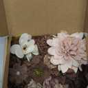 Floroom Mini Artificial Flower Heads Brown & Taupe Fake Peony Daisy Rose Multicolor Small Faux Silk Flower Heads for Cake Craft Garland Wedding Party Graduation Cap DIY Home Decoration, 0.8"-3.6"