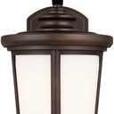 Sea Gull Generation Lighting 8619301-71 Medium One Light Outdoor Wall Lantern (Antique Bronze)