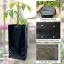 gardtree 3/4 Gallon 100 Pcs Tall Plant Nursery Bags 4.7" x 11.7", Deep Root Plastic Plant Grow Bags Thicken Tree Seedling Pots for Vegetables, Flower, Fruit, Citrus, Nut Trees, Taproot Saplings