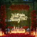 HMT Will You Marry Me Neon Sign Warm White LED Marry Me Light for Proposal Engagement Wedding Party Backdrop Wall Decor 19.7x11.8 Inch USB Powered Romantic Sign
