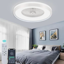 24" Low Profile Ceiling Fan With Light