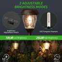 XMCOSY+ Solar Pathway Lights Outdoor, Warm White 10/25LM Glass Solar Lights for Yard & Walkway, Waterproof Landscape Lighting, Auto On/Off Decorative Garden Lights for Patio, Lawn & Driveway