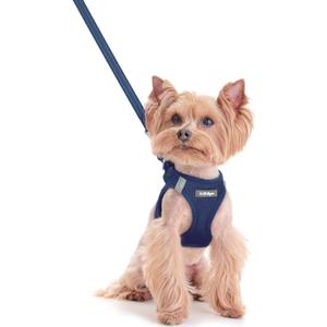 Rabbitgoo Dog Harness Small Sized and Leash Set, Step in Soft Light Puppy Vest, Breathable Mesh Pet Harness, Reflective for Safe Outdoor Walking, Navy Blue XXS (XXS (Chest: 12.4 - 14.2"))