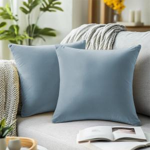 QUORGVES Light Blue Velvet Pillow Covers 18x18 Inch Set of 2, Soft Solid Decorative Square Throw Pillow Covers, Decor Cushion Covers for Bed Sofa Couch Bedroom Living Room - Coastal Sky Baby Blue