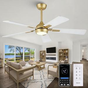 52" White Gold Ceiling Fan with Light and Remote, DC Motor Ceiling Fan with LED Light, 6-Speed Reversible, Dimmable 3CCT, Modern Ceiling Fan for Bedroom Living Room