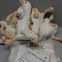 HyDren 33 Pcs Adopt Party Favors Include Adoption Sign Certificate Plush Stuffed Birthday Hats White Paper Boxes for Adopt an Party Supplies Animal Baby Shower Birthday Decoration(8 Goose)