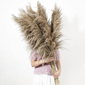 9 Stems Pampas Grass Decor Tall 48''/4 FT, Long Fluffy Dried Pompas Grass, Large Pampas Grass for Floor Vase, Rustic Wedding, Baby Shower, Party, Farmhouse, Boho Home Decor