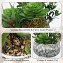 Villa Como 10 Large Succulents Plants Artificial in Ceramic Pots Potted Faux Succulent Arrangement with Black Bowl Pots Fake Desk Succulents Plants for Home Bathroom Shelf Table Indoor Decor