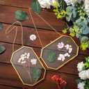 Spiareal 8 Pcs Octagon Glass Pressed Flower Frame 5 x 7 inches Double Clear Hanging Floating Frame with Chain Gold Geometric Herbarium Glass wall Picture for Dried Flower Plants Home DIY Wall Decor
