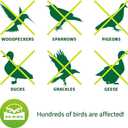 De-Bird Bird Scare Balloons - Inflatable Reflective Bird Deterrent Balloons - Pool & Boat Duck Deterrent Devices - Garden & Yard Goose Repellent Devices - Pack of 3, Neon, Plastic, Garden Style