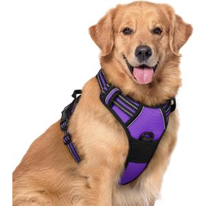 rabbitgoo Dog Harness No Pull with 2 Leash Clips, Adjustable Soft Padded, Reflective Oxford No Choke Pet Vest with Easy Control Handle for Large Dogs, Purple, XL