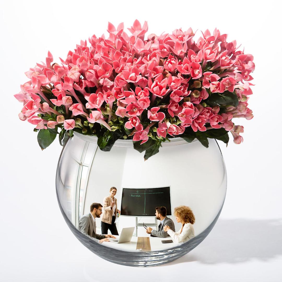 6" Spherical Convex Mirror Glass Bowl Vase - Safety Cubicle Reflector & Desktop Rearview Mirror to See Behind You for Office/Home Décor, Floral Arrangements, Planter Storage (Silver)