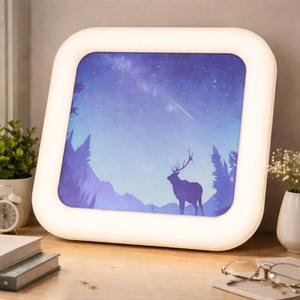 Light With Moose Picture 19x19inch Top With Controller