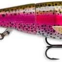 Rapala Bait (Live Rainbow Trout)