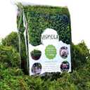 Usmola Artificial Fake Moss, 8OZ Craft Moss for Potted Plant Centerpieces Decor (Fresh Green)