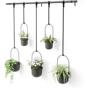Umbra Triflora Hanging Planter, Set of 5, Black
