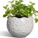 4 Inch Plant Pots - Ceramic Flower Pot for Indoor Outdoor Plants, Small Plant Pot with Drainage Hole and Plug, Round Planter, Unique Plant Pots, Home Decor, Gardening Gifts for Women, Grey