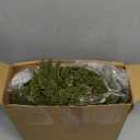 8 Pcs Small Christmas Norfolk Wreaths 15 Inch Christmas Kitchen Cabinet Mini Wreath with Bow Ribbon Cedar Berry for Xmas Front Door Window Chair Fireplace Table Pillar Farmhouse