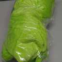 Adult Onesie Pajamas Unisex Animal One-Piece Cartoon Costume Cosplay Homewear Sleepwear Partywear For Men Women (Light Green) XL