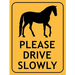 Horses Please Drive Slowly Sign Metal Tin Sign 12x16 Inches
