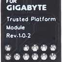 TPM 2.0 Module for GIGABYTE Motherboards 12Pin LPC tpm2.0 V Remote Card Encryption Security Module