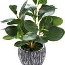 AlphaAcc Artificial Plants Real Looking and Touching Fake Plant Evergreen Plastic Fiddle Leaf Fig Plant with Rustic Black Cement Planter for Housewarming Office Desk Decor