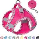Petank Dog Harness for Small Medium Dogs No Pull, Puppy Harness and Leash Set for Walking, Running, Training, Small Dog Harness, Medium Dog Harness (Rose Red, S)
