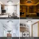 Matane 12 Inch LED Flush Mount Ceiling Light Fixture with Night Light, 24W 2400LM 3000K/4000K/5000K Selectable, Dimmable Ceiling Lights for Bedroom, Dining Room, Kitchen, Round Black