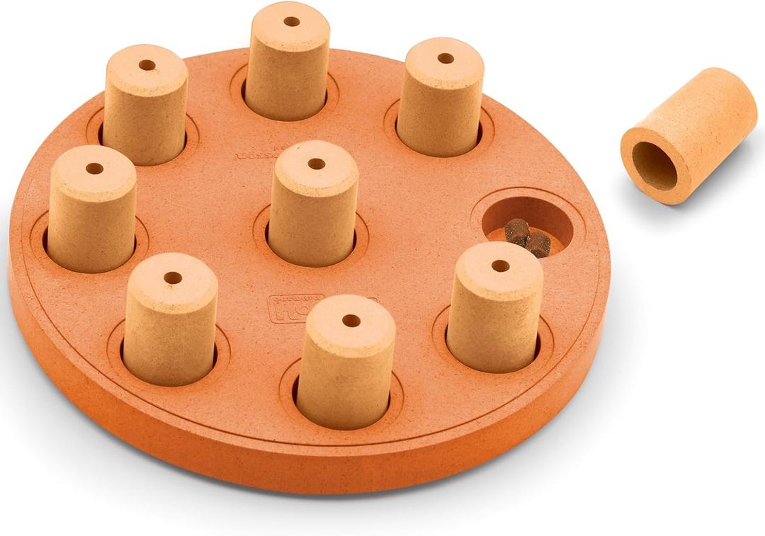 Outward Hound by Nina Ottosson Dog Smart Treat Puzzle Enrichment Toy, Level 1 Beginner, Orange, Composite (Dog Smart Composite (Orange))