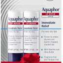 Aquaphor Lip Repair Stick, Moisturizing Lip Balm Pack, Relieves Dryness, Holiday Gifts for Self Care, 0.17 Oz Stick, Pack of 2