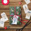 2 x RiukRaiu Dinosaur Christmas Wrapping Paper for Kids Adults - Green Xmas Gift Wrap Santa Hat T-Rex Trees Candy Canes Colorful Flags Stars Snowflakes for Holiday Party - 4 Jumbo Sheets, 40 x 28 Inches Each