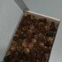 Jangostor 120 PCS Pine Cones Decorations, Natural Pine Cones Bulk - Mini Pine Cones Christmas Pine Cones for Table Christmas Tree Crafts Gifts Thanksgiving Fall and Xmas Home Decor