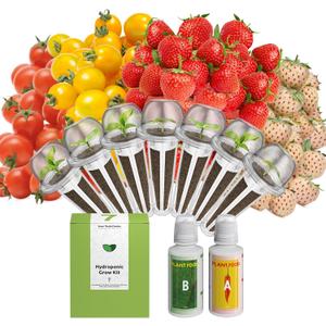 inbloom Fruit Seed Pod Kit for AeroGarden, Ahopegarden Hydroponics Growing System, 7-Pods (350 Seeds+, Include Red Cherry Tomato, Golden Cherry Tomato, White Strawberry, and Red Strawberry)