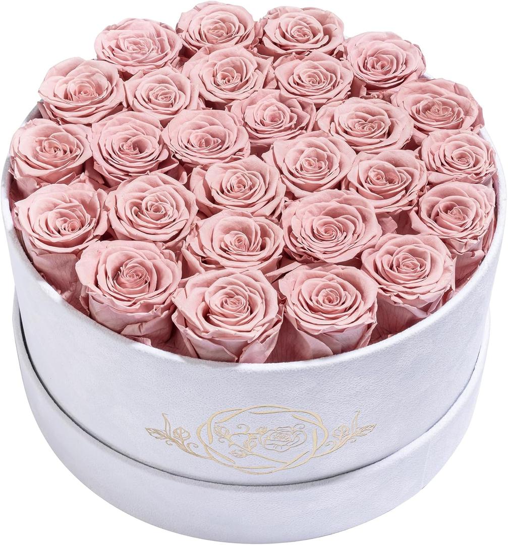 Prifroti 27 Flowers in a Luxury Suede Box, Birthday Gifts for Women, Preserved Flowers, Mothers Day Roses Gift for Mom, Dusty Rose