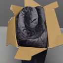 Bedsure Heated Blanket Throw Blanket - Fast Heating Electric Blanket, Soft Flannel Heated Throw with 4 Time Settings, 6 Heating Settings, Warm Gifts for Grandma Grandpa (50x60 inches, Dark Grey)