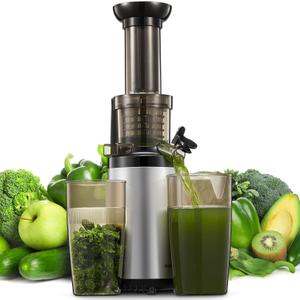 Masticating Juicer Machines, Reemix Cold Press juicer Machine Compact & Small Size, Juice Extractor, Nutrient and Vitamin Dense, BPA-Free Tritan, Easy to Clean (Silver)