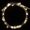 Copper Wire LED String Lights 2m/6.5ft 20 Leds Battery Operated Lighting for Xmas Christmas Tree Wedding Outdoor Party, Warm White