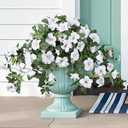 HyeFlora Artificial Flowers for Outdoors 2PCS Faux Petunias Silk Fake Flowers for Outside Planter UV Resistant Realistic Home Garden Porch Decor (White)