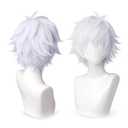 Silver Anime Cosplay Halloween Wig: Men Short Silver Cosplay Wig + 2 Hair Caps, Synthetic Short Wigs with Bangs, Halloween & Christmas Parties Anime Events Hairstyle for Men & Teens
