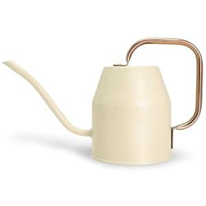 Ausluru Metal Watering Can with Removable Spout, Galvanized Watering Can, Perfect Plant Watering Can for Indoor Use and for Outdoor Use (0.5 Gallaon, White) 